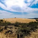 Golden Dunes 普里莫尔斯科